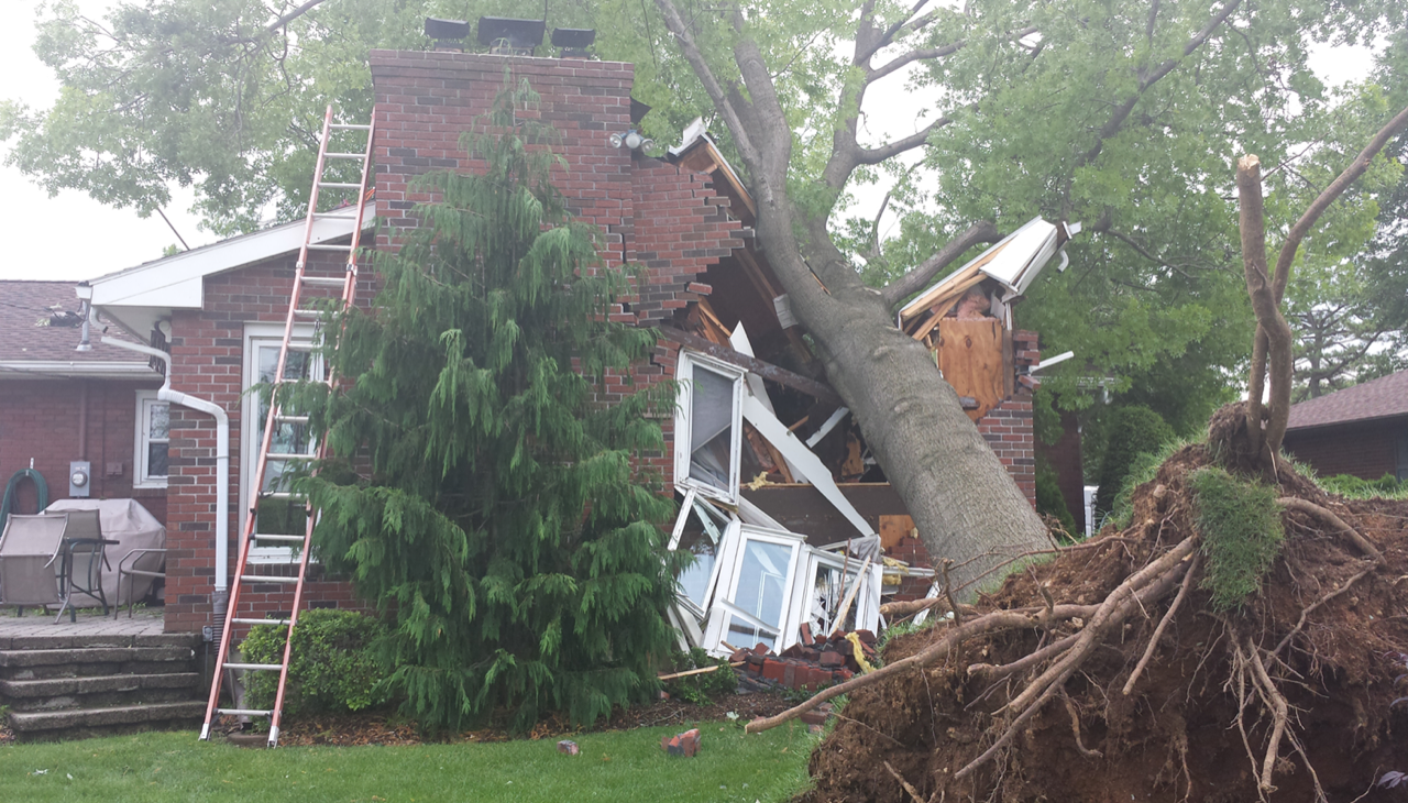 Storm Damage Cleanup